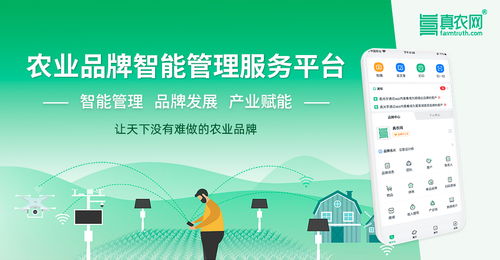 從韓國高麗參到中國物聯網農業 一場關于價值重塑的產業解析
